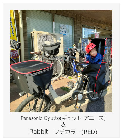 Panasonic Gyutto(パナソニック ギュット)アニーズ ＆ Rabbit